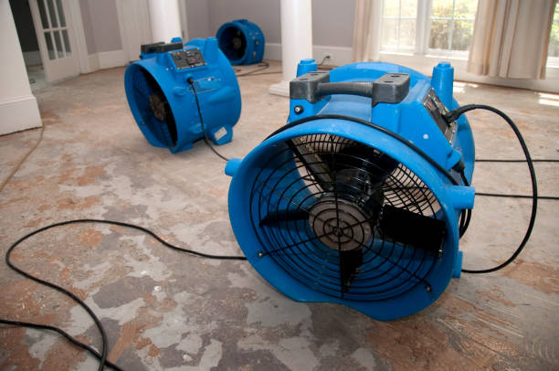 Best Fire Damage Restoration  in Picacho Hills, NM