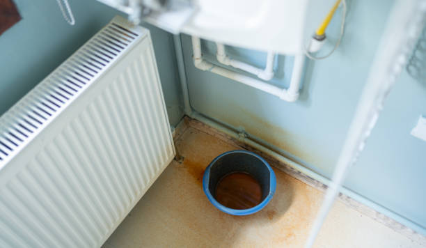 Best Local water damage restoration  in Picacho Hills, NM