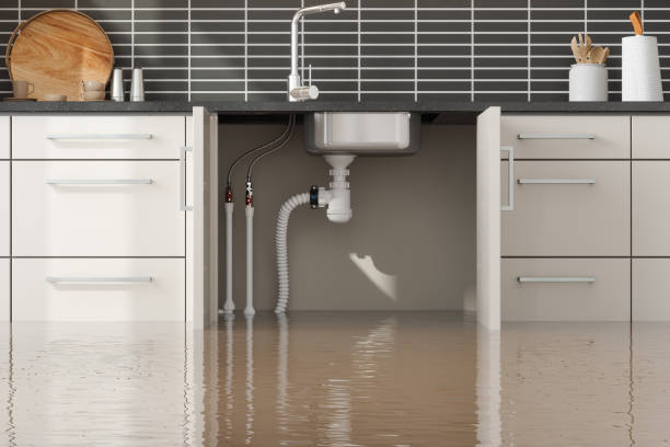 Best Commercial water damage restoration  in Picacho Hills, NM