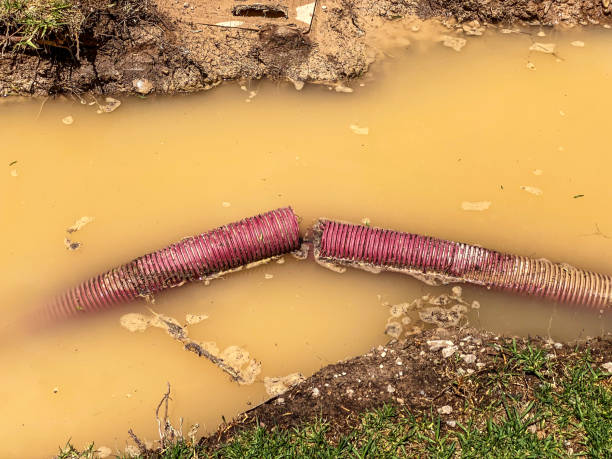 Best Water damage restoration process  in Picacho Hills, NM