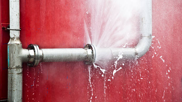 Best Water damage restoration experts  in Picacho Hills, NM