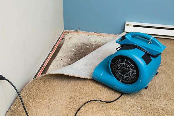 Best Water damage restoration specialists  in Picacho Hills, NM
